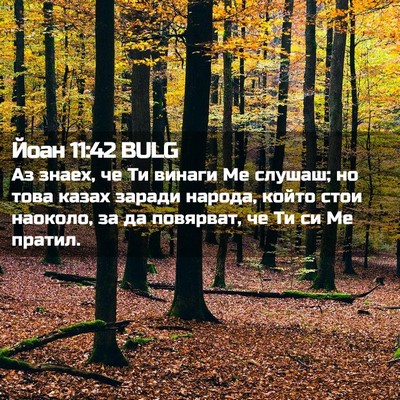 Picture 02 - Йоан 11:42 BULG - Аз знаех, че Ти винаги Ме - Bible Verse Picture