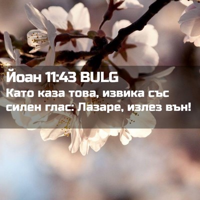 Picture 02 - Йоан 11:43 BULG - Като каза това, извика със - Bible Verse Picture