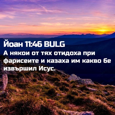 Picture 02 - Йоан 11:46 BULG - А някои от тях отидоха при - Bible Verse Picture
