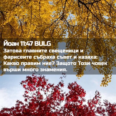 Picture 02 - Йоан 11:47 BULG - Затова главните свещеници - Bible Verse Picture