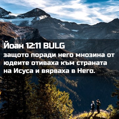 Picture 02 - Йоан 12:11 BULG - защото поради него мнозина - Bible Verse Picture
