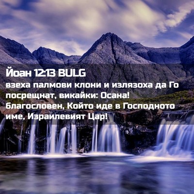 Picture 02 - Йоан 12:13 BULG - взеха палмови клони и - Bible Verse Picture