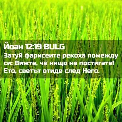 Picture 02 - Йоан 12:19 BULG - Затуй фарисеите рекоха - Bible Verse Picture
