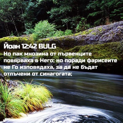 Picture 02 - Йоан 12:42 BULG - Но пак мнозина от - Bible Verse Picture