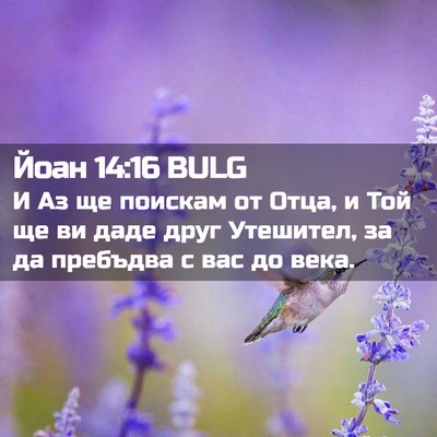 Picture 02 - Йоан 14:16 BULG - И Аз ще поискам от Отца, и - Bible Verse Picture