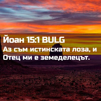 Picture 02 - Йоан 15:1 BULG - Аз съм истинската лоза, и - Bible Verse Picture