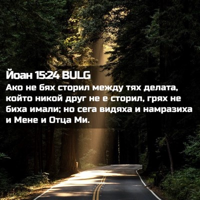 Picture 02 - Йоан 15:24 BULG - Ако не бях сторил между тях - Bible Verse Picture