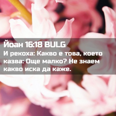 Picture 02 - Йоан 16:18 BULG - И рекоха: Какво е това, - Bible Verse Picture