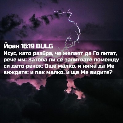 Picture 02 - Йоан 16:19 BULG - Исус, като разбра, че - Bible Verse Picture