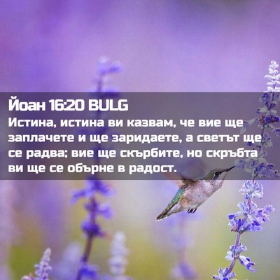 Picture 02 - Йоан 16:20 BULG - Истина, истина ви казвам, - Bible Verse Picture