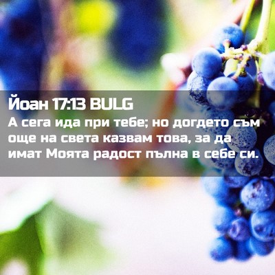 Picture 02 - Йоан 17:13 BULG - А сега ида при тебе; но - Bible Verse Picture