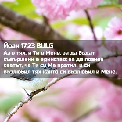 Picture 02 - Йоан 17:23 BULG - Аз в тях, и Ти в Мене, за да - Bible Verse Picture