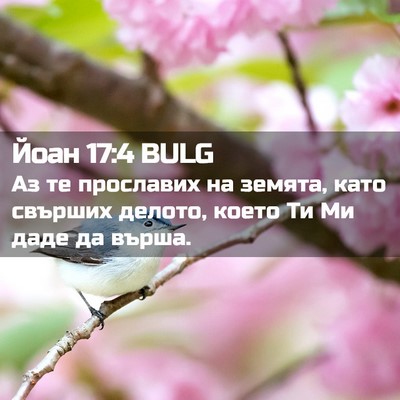 Picture 02 - Йоан 17:4 BULG - Аз те прославих на земята, - Bible Verse Picture