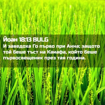 Picture 02 - Йоан 18:13 BULG - И заведоха Го първо при - Bible Verse Picture