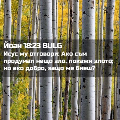 Picture 02 - Йоан 18:23 BULG - Исус му отговори: Ако съм - Bible Verse Picture