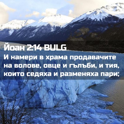 Picture 02 - Йоан 2:14 BULG - И намери в храма - Bible Verse Picture