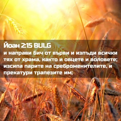 Picture 02 - Йоан 2:15 BULG - и направи бич от върви и - Bible Verse Picture