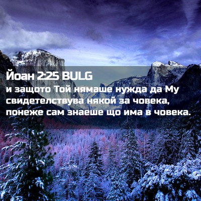 Picture 02 - Йоан 2:25 BULG - и защото Той нямаше нужда - Bible Verse Picture