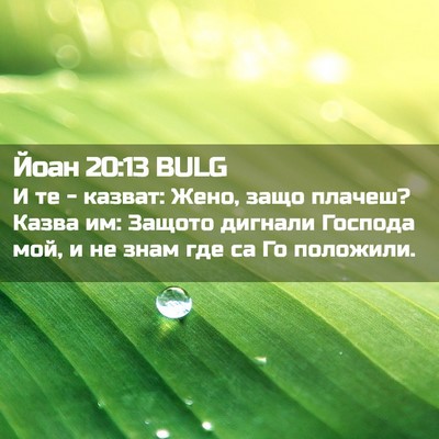 Picture 02 - Йоан 20:13 BULG - И те - казват: Жено, защо - Bible Verse Picture