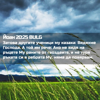 Picture 02 - Йоан 20:25 BULG - Затова другите ученици му - Bible Verse Picture