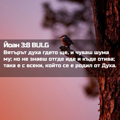 Picture 02 - Йоан 3:8 BULG - Вятърът духа гдето ще, и - Bible Verse Picture