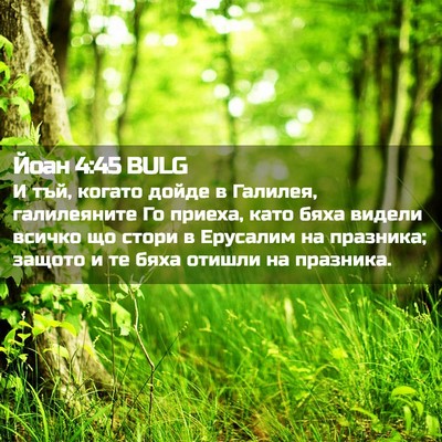 Picture 02 - Йоан 4:45 BULG - И тъй, когато дойде в - Bible Verse Picture