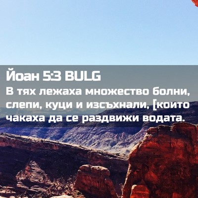 Picture 02 - Йоан 5:3 BULG - В тях лежаха множество - Bible Verse Picture