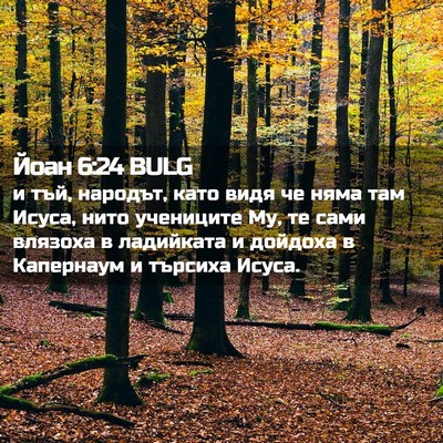 Picture 02 - Йоан 6:24 BULG - и тъй, народът, като видя че - Bible Verse Picture