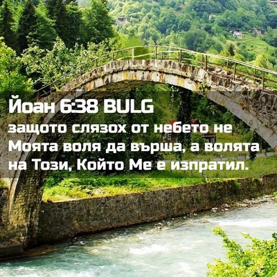 Picture 02 - Йоан 6:38 BULG - защото слязох от небето не - Bible Verse Picture