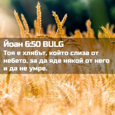 Picture 02 - Йоан 6:50 BULG - Тоя е хлябът, който слиза - Bible Verse Picture