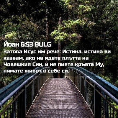 Picture 02 - Йоан 6:53 BULG - Затова Исус им рече: - Bible Verse Picture