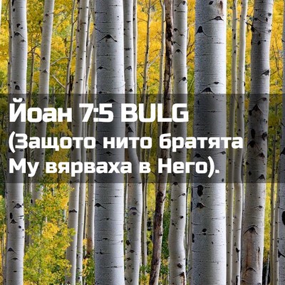 Picture 02 - Йоан 7:5 BULG - (Защото нито братята Му - Bible Verse Picture