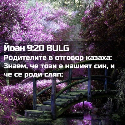 Picture 02 - Йоан 9:20 BULG - Родителите в отговор - Bible Verse Picture