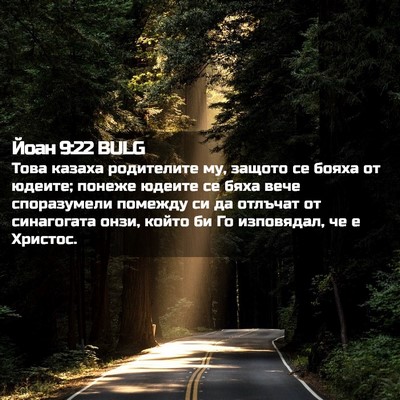 Picture 02 - Йоан 9:22 BULG - Това казаха родителите му, - Bible Verse Picture