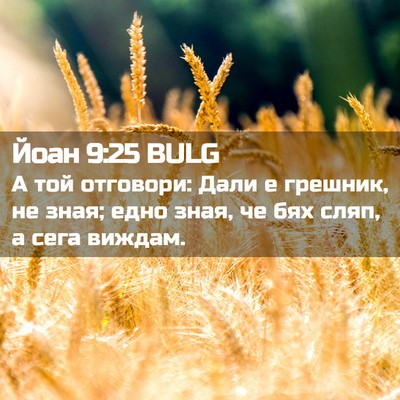 Picture 02 - Йоан 9:25 BULG - А той отговори: Дали е - Bible Verse Picture