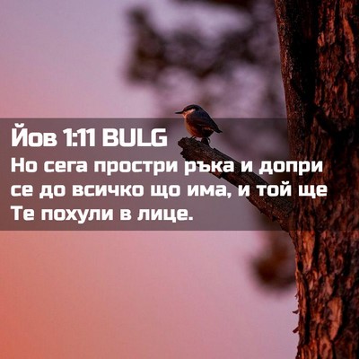 Picture 02 - Йов 1:11 BULG - Но сега простри ръка и - Bible Verse Picture