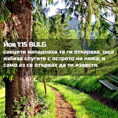 Picture 02 - Йов 1:15 BULG - савците нападнаха та ги - Bible Verse Picture