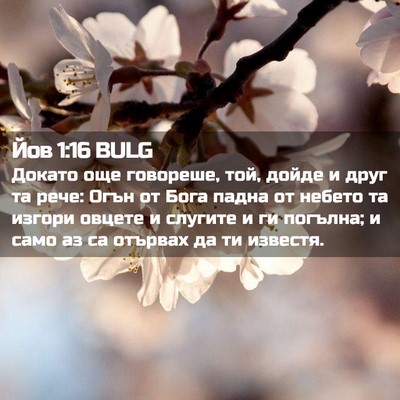 Picture 02 - Йов 1:16 BULG - Докато още говореше, той, - Bible Verse Picture