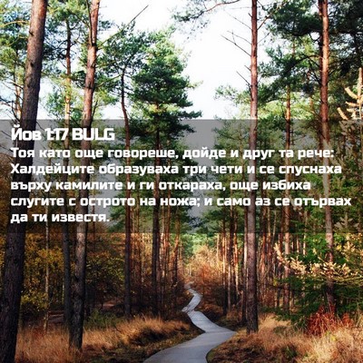 Picture 02 - Йов 1:17 BULG - Тоя като още говореше, - Bible Verse Picture