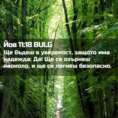 Picture 02 - Йов 11:18 BULG - Ще бъдеш в увереност, - Bible Verse Picture