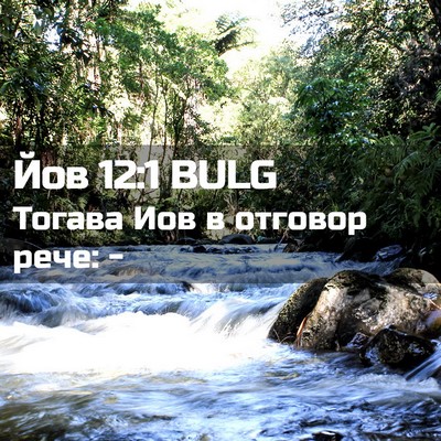 Picture 02 - Йов 12:1 BULG - Тогава Иов в отговор рече: - Bible Verse Picture