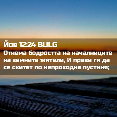 Picture 02 - Йов 12:24 BULG - Отнема бодростта на - Bible Verse Picture