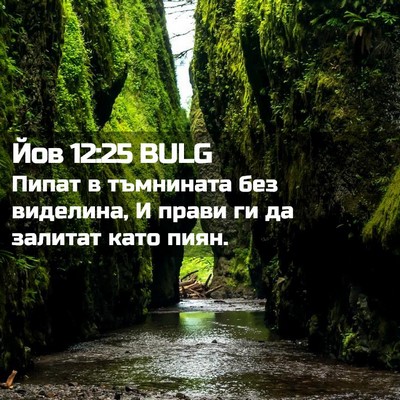 Picture 02 - Йов 12:25 BULG - Пипат в тъмнината без - Bible Verse Picture