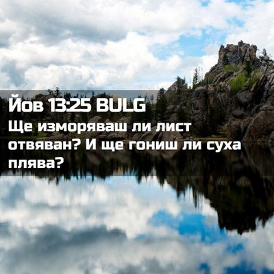 Picture 02 - Йов 13:25 BULG - Ще изморяваш ли лист - Bible Verse Picture