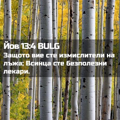 Picture 02 - Йов 13:4 BULG - Защото вие сте измислители - Bible Verse Picture