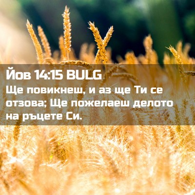 Picture 02 - Йов 14:15 BULG - Ще повикнеш, и аз ще Ти се - Bible Verse Picture