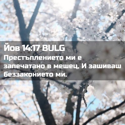 Picture 02 - Йов 14:17 BULG - Престъплението ми е - Bible Verse Picture