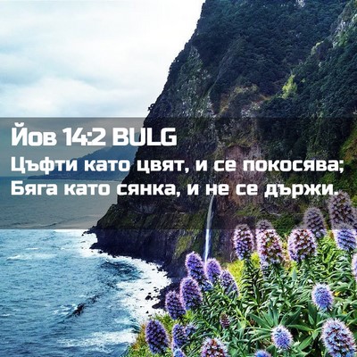 Picture 02 - Йов 14:2 BULG - Цъфти като цвят, и се - Bible Verse Picture