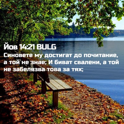 Picture 02 - Йов 14:21 BULG - Синовете му достигат до - Bible Verse Picture