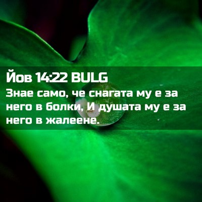 Picture 02 - Йов 14:22 BULG - Знае само, че снагата му е - Bible Verse Picture
